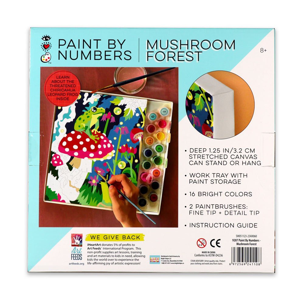 Bright Stripes iHeartArt Paint By Numbers- Mushroom Forest — Art - Image 4