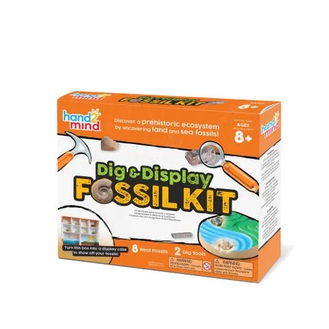 Hand2Mind Dig & Display Fossils Science Lab Kit — Case