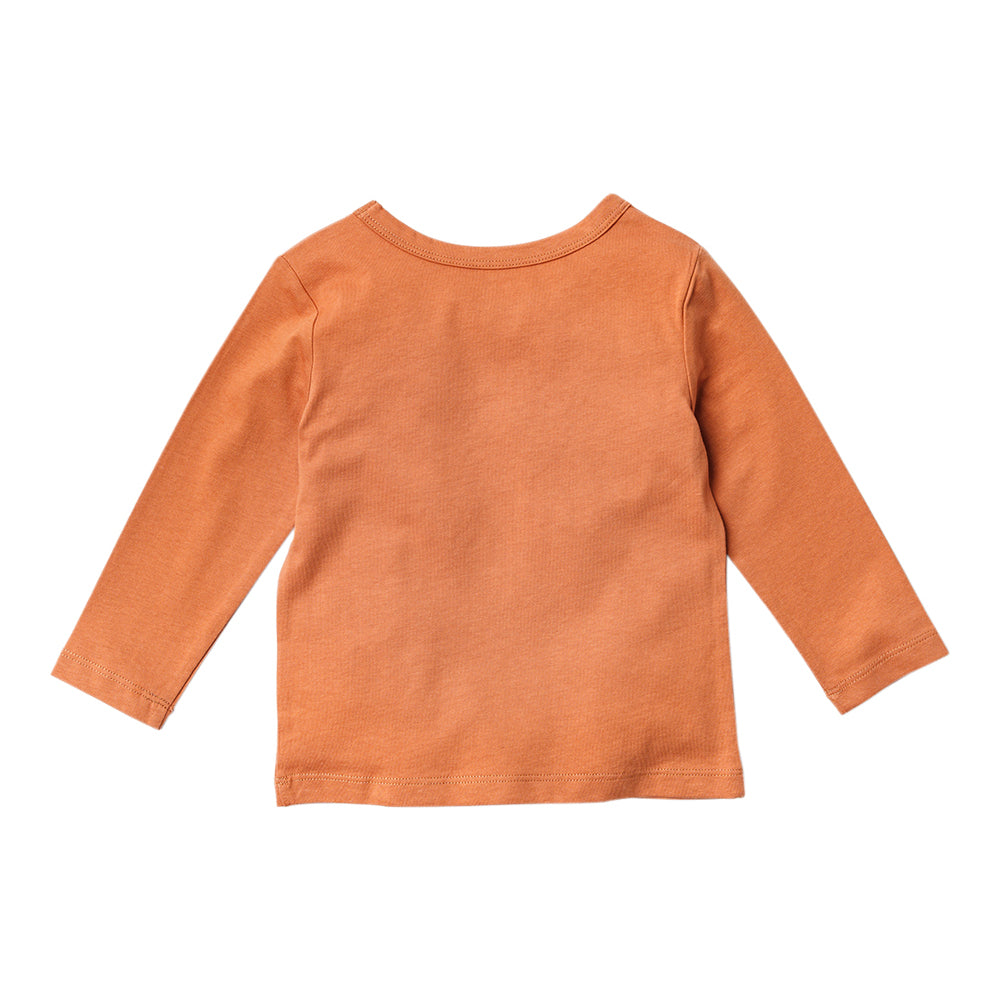 Ms.Rachel Long Sleeve Tees - Light Blue / 2-3y - Image 11