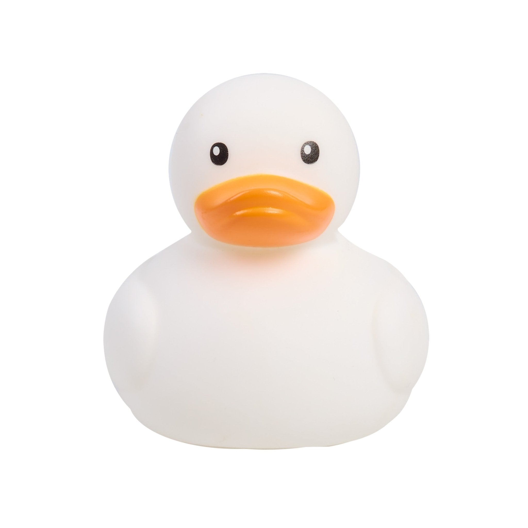 Dazzle Duck Rainbow — Art - Image 2