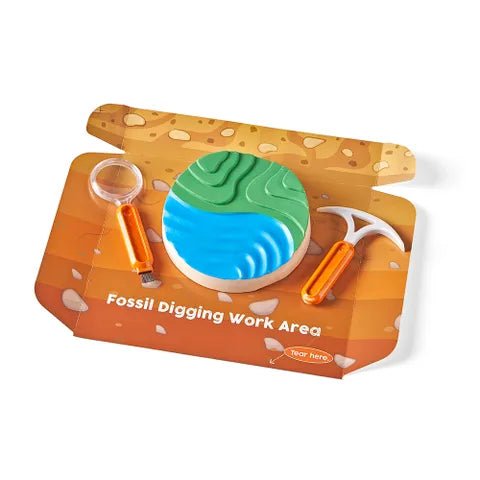 Hand2Mind Dig & Display Fossils Science Lab Kit — Case - Image 3