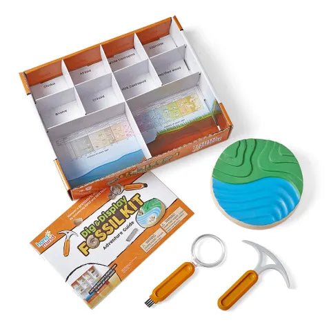 Hand2Mind Dig & Display Fossils Science Lab Kit — Case - Image 2