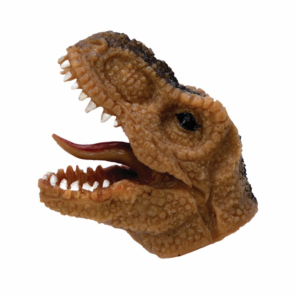 Baby Dino Snappers — Catalog Product - Image 7