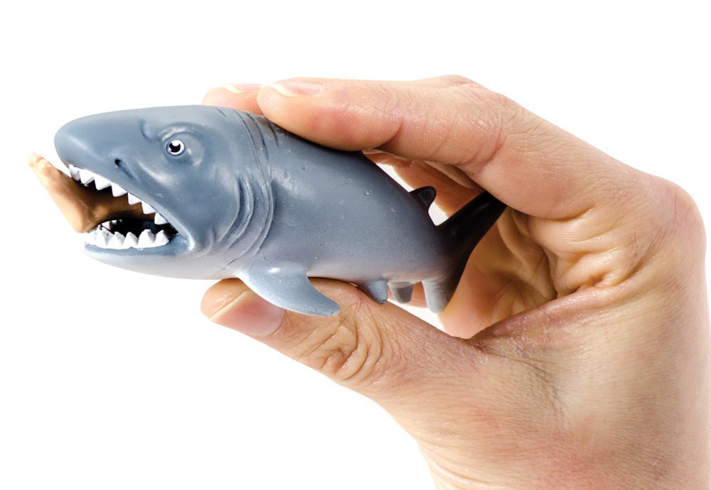 Chomp The Shark — Catalog Product