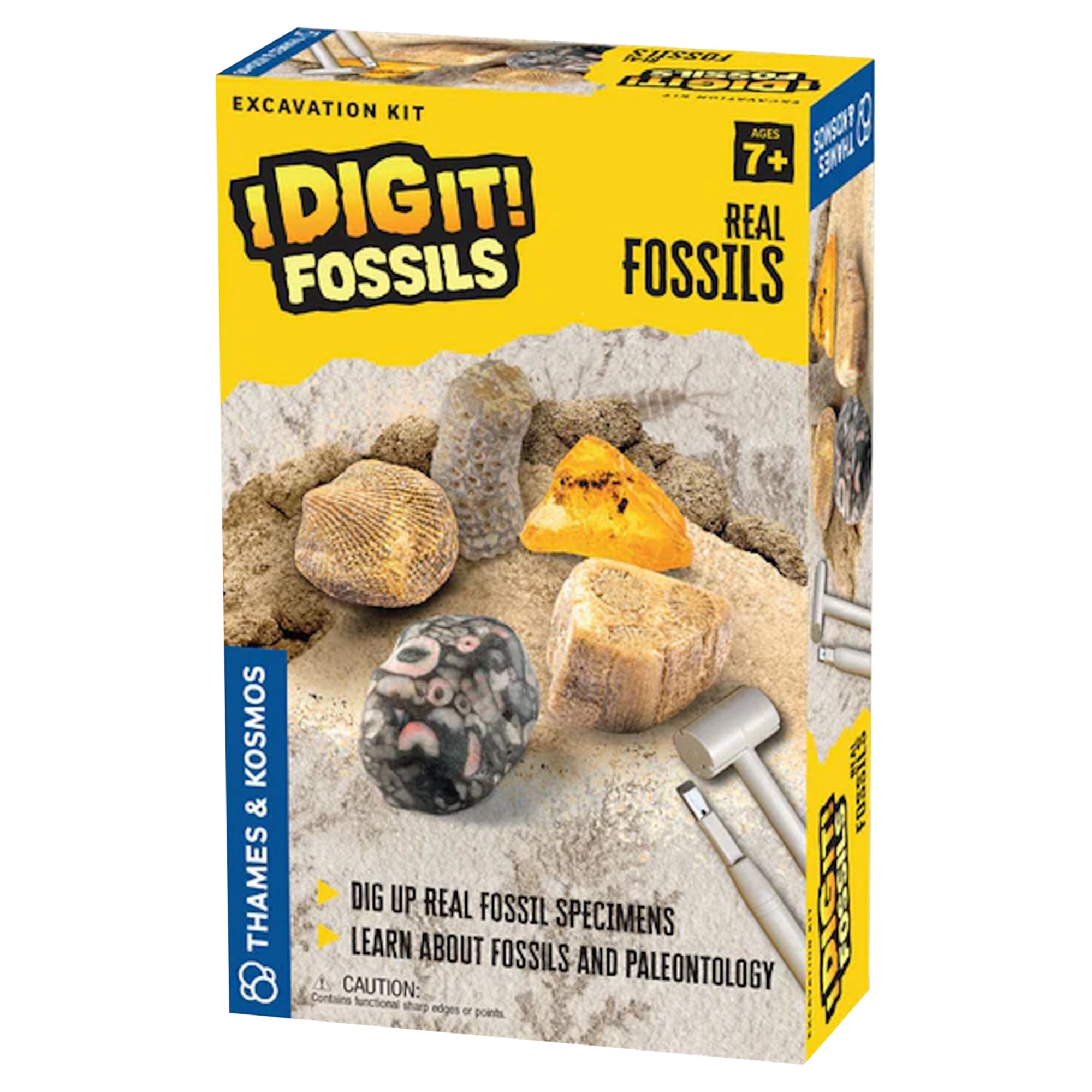 Thames & Kosmos I Dig It! Fossils - Real Fossils Excavation Kit — Can