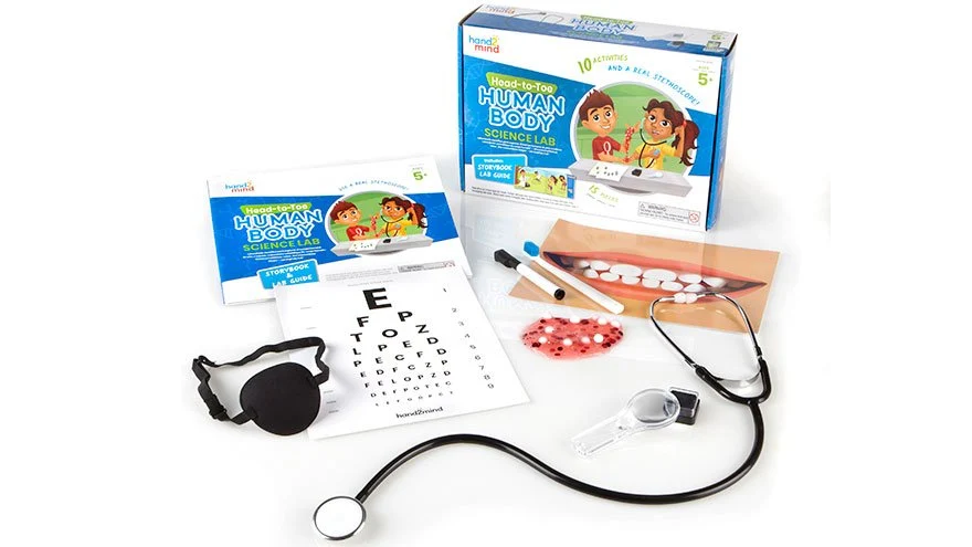 Hand2Mind Head-To-Toe Human Body Science Lab — Wrap - Image 2