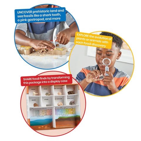 Hand2Mind Dig & Display Fossils Science Lab Kit — Case - Image 4
