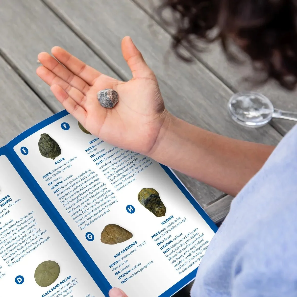 Educational Insights GeoSafari® Fossil Excavation Kit — Brush - Image 5