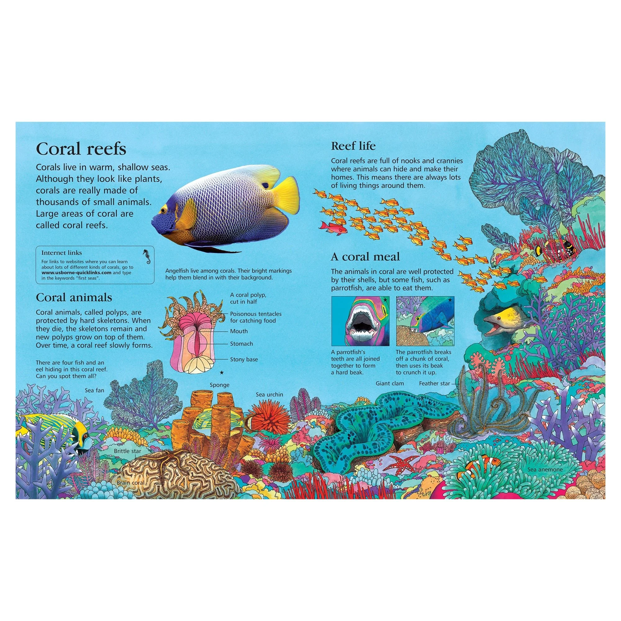 First Encyclopedia of Seas and Oceans — Book - Image 3