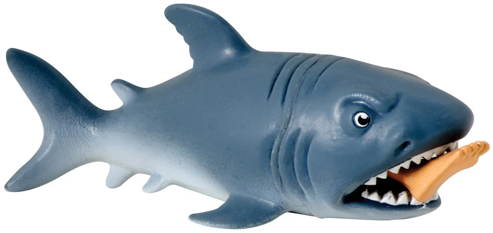 Chomp The Shark — Catalog Product - Image 7